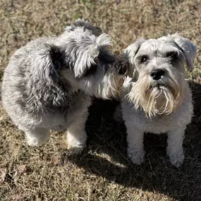 Bild von Almost Home Pet Resort