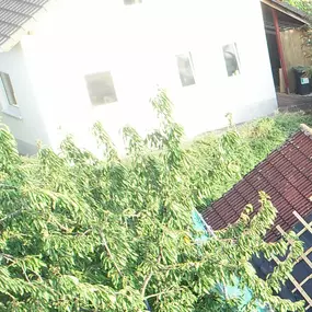 Bild von Friman Bedachungen & Schmidt UG (haftungsbeschränkt)