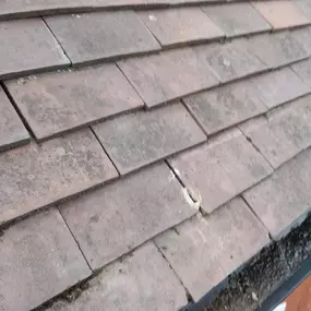 Bild von White's Exterior Property Maintenance