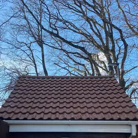 Bild von White's Exterior Property Maintenance