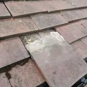 Bild von White's Exterior Property Maintenance