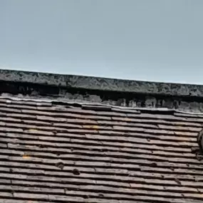 Bild von White's Exterior Property Maintenance
