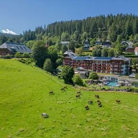 Bild von Wellnesshotel Kesslermühle Hinterzarten