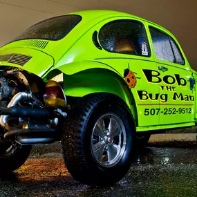 Bild von Bob The Bug Man