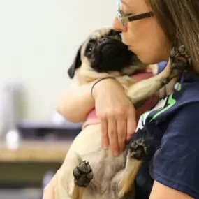 Bild von Care Pet Clinic Texarkana