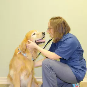 Bild von Care Pet Clinic Texarkana