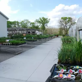 Bild von Cedar River Garden Center