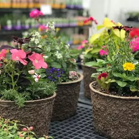 Bild von Cedar River Garden Center