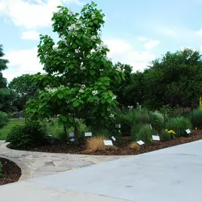 Bild von Cedar River Garden Center