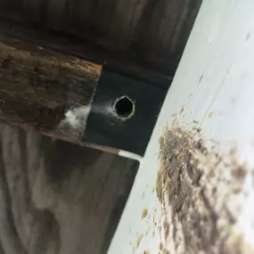 Bild von Cummings Pest Solutions