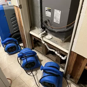 Bild von 24 Hour Flood Pros of Arizona