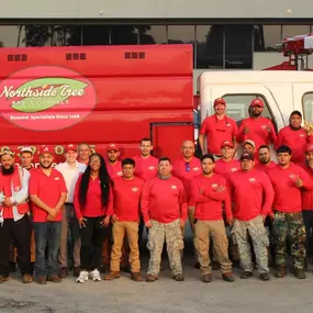 Bild von Northside Tree Professionals