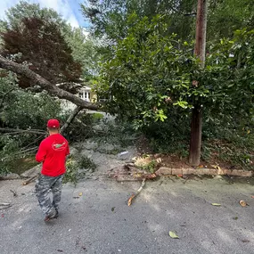Bild von Northside Tree Professionals