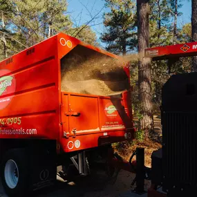 Bild von Northside Tree Professionals