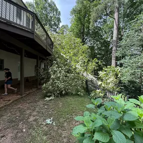 Bild von Northside Tree Professionals