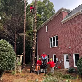 Bild von Northside Tree Professionals