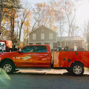 Bild von Northside Tree Professionals