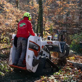 Bild von Northside Tree Professionals