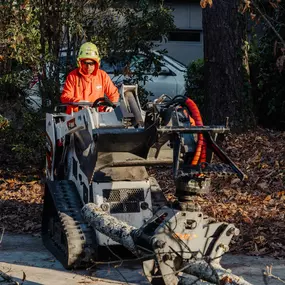 Bild von Northside Tree Professionals