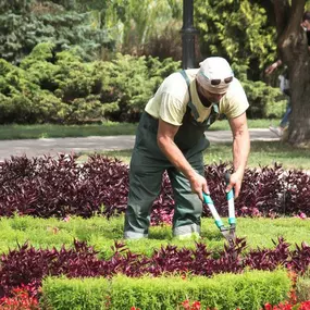 Pflanzenpflege:
Qualifizierter Service für Ihre Pflanzen, Bäume und Sträucher mit der professionellen Pflanzenpflege vom Meisterbetrieb Gartengestaltung Fischer in München