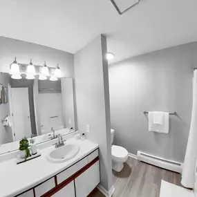 a bathroom with a sink and a shower and a toilet
