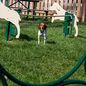 Dog Park at Wood Creek Apartments