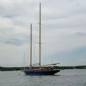 Bild von Concordia Company