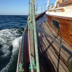 Bild von Concordia Company