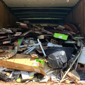 Bild von Evolution Disposal