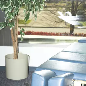 Bild von Vision Chiropractic