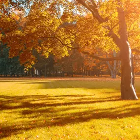 Bild von Harbuck Land Surveyors