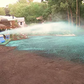 Bild von Turf Grow