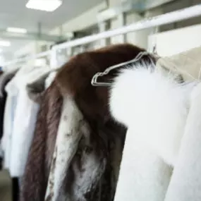 Bild von Turitto's Dry Cleaners