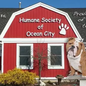 Bild von Humane Society of Ocean City