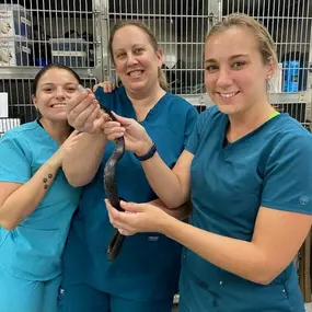 Bild von Humane Society of Ocean City