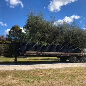 Bild von Wagner Tree Farm