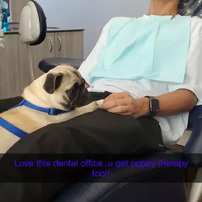 Bild von Hollytree Dental