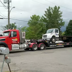 Bild von Wilcox & Sons Towing & Auto Repairs