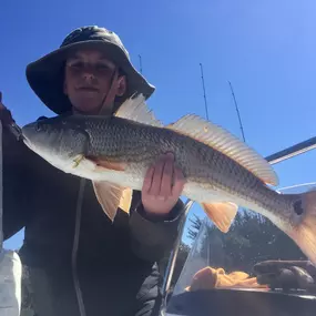 Bild von Knot Stressed Inshore Charters
