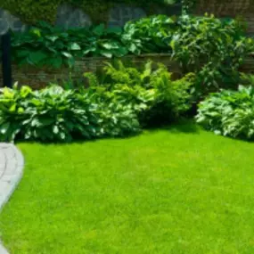 Bild von SP & LC Landscape Contractors