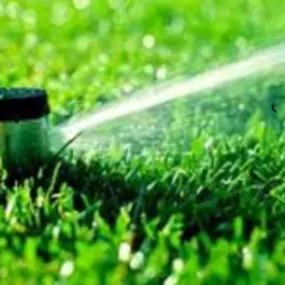 Bild von SP & LC Landscape Contractors