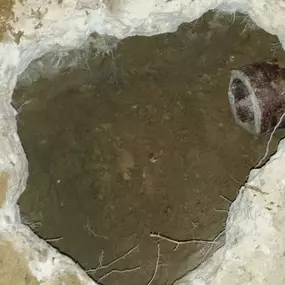 Bild von Axellent Sewer Service
