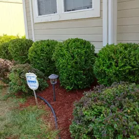 Bild von Martinez Tree & Lawn Service, LLC
