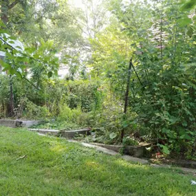 Bild von Martinez Tree & Lawn Service, LLC