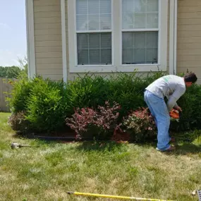 Bild von Martinez Tree & Lawn Service, LLC