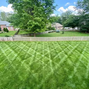 Bild von Living Green Lawn Care