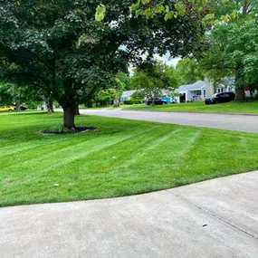 Bild von Living Green Lawn Care
