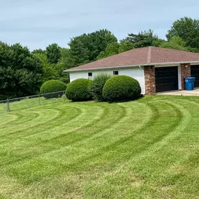 Bild von Living Green Lawn Care