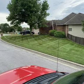 Bild von Living Green Lawn Care