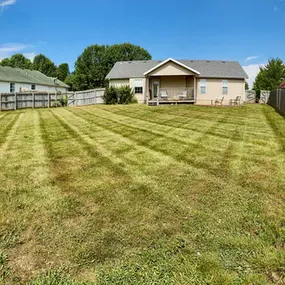 Bild von Living Green Lawn Care